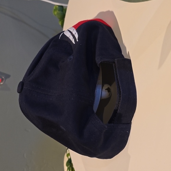 USA Olympics Team Memorabilia Velcro Srapback Hat [ Read Details ] - Picture 7 of 12